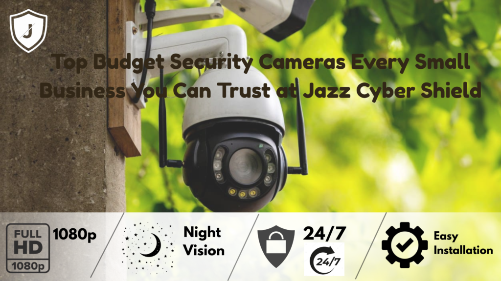 Best Budget Security Camera for Small Businesses, affordable surveillance solution, reliable small business protection