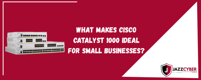 Network admin setting up Cisco Catalyst 1000 – What Makes Cisco Catalyst 1000 Ideal for Small Businesses?